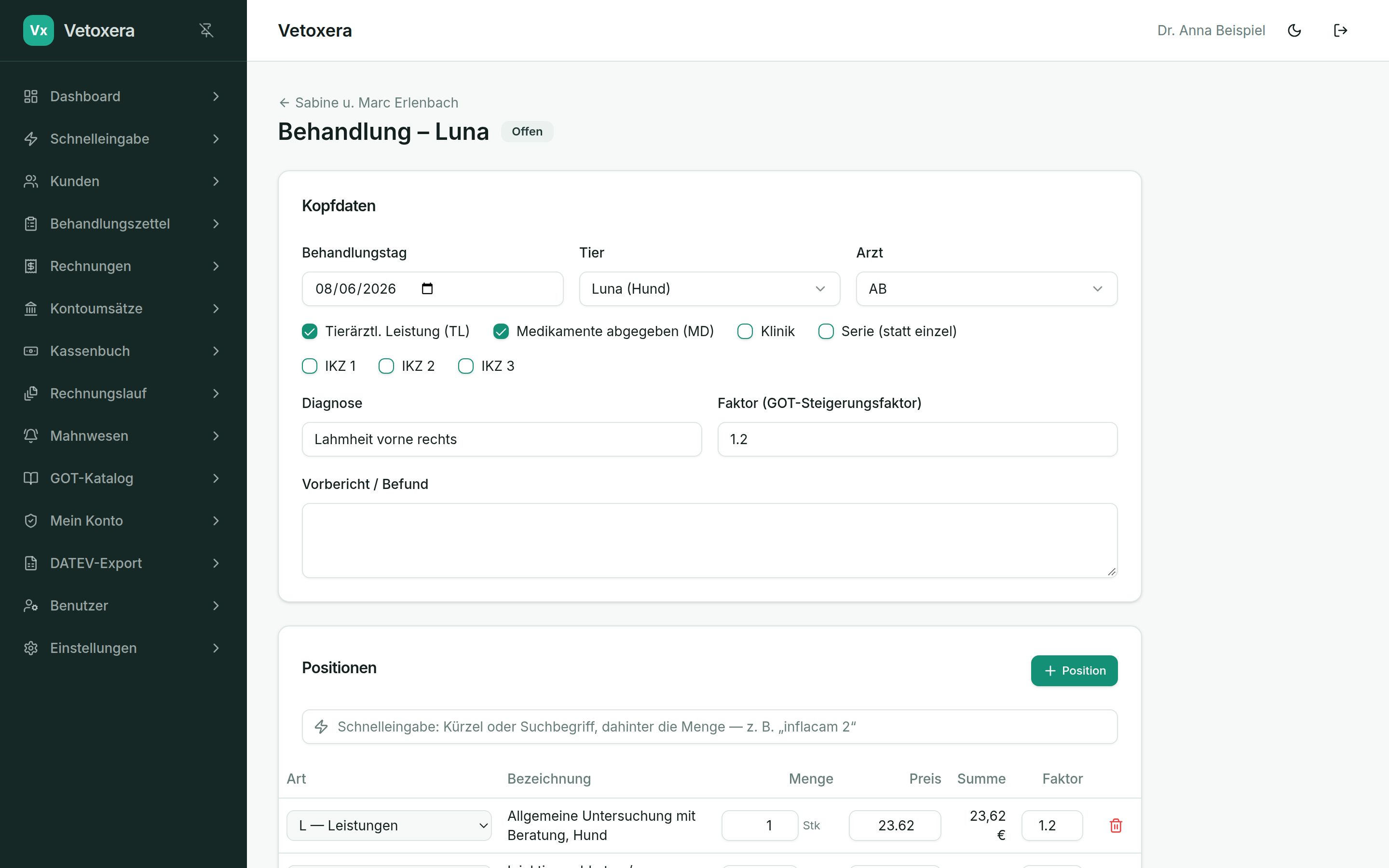 An open treatment with header data and line items